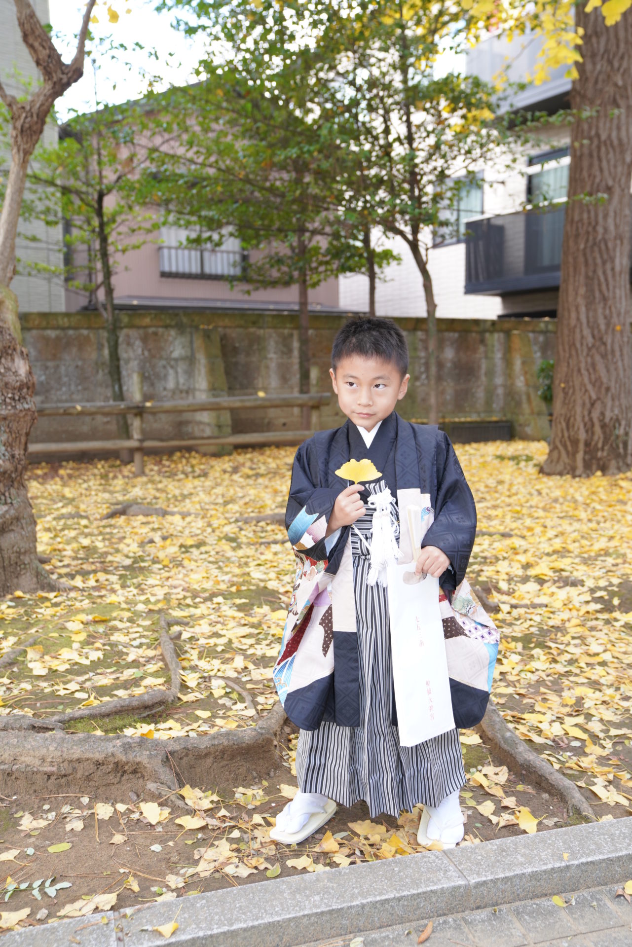 黒い着物を見に纏い、神社で黄色い銀杏の葉を手に取り、嬉しそうな5歳の男の子の七五三