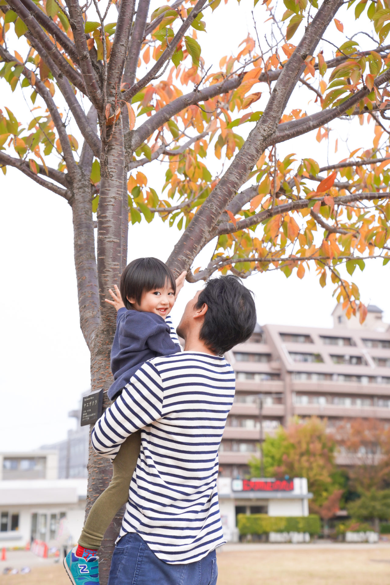 公園で、パパに抱っこしてもらい、木の高い部分を触ることが出来、喜んでいる男の子